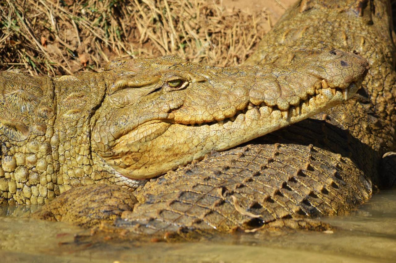 Crocodile Pools Resort Gaborone Esterno foto